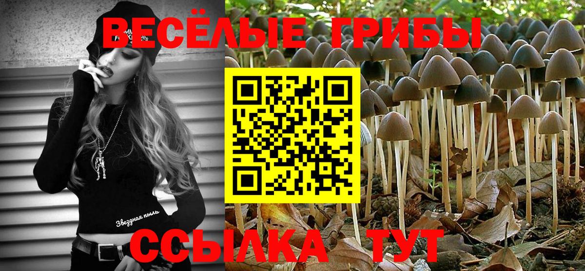 Ишимбай  Галлюциногенные грибы MAGIC MUSHROOMS  Вход с VPN 
